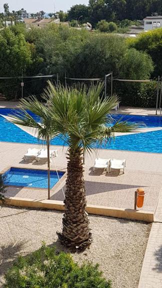 Nissi Pool View Free Wifi * Ayia Napa