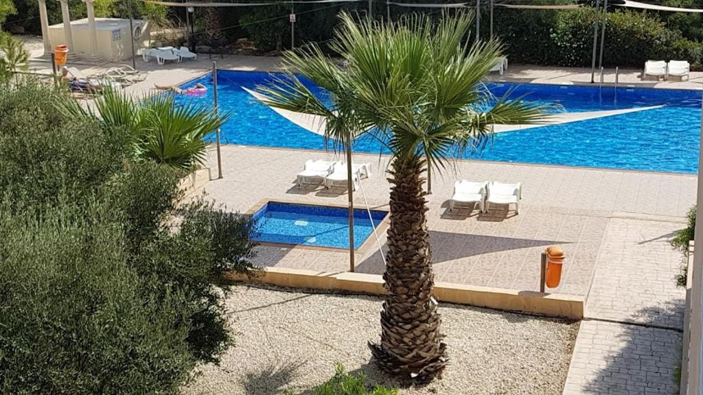 Nissi Pool View Free Wifi *